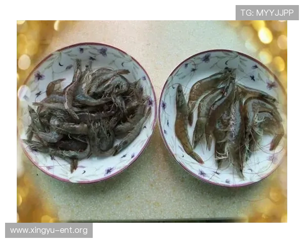 皇冠ceo投注网最新优惠活动每日更新，助你轻松赢取丰厚奖金