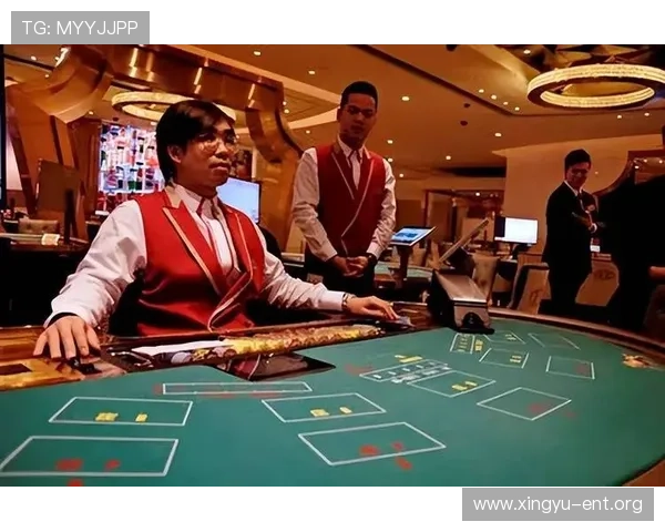 精通百家乐规则大全的实战经验分享助你在赌场中更加自信应对各种局面