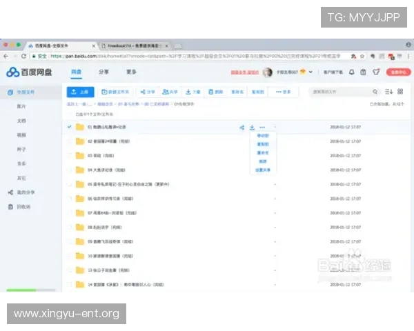 速盈在线登录在网络交易中的优势和使用技巧
